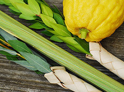 A lulav and etrog set